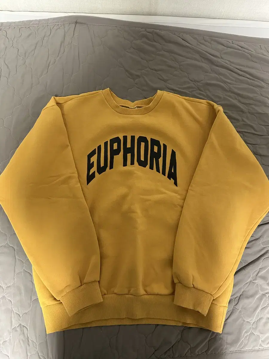 [L] 컬렉트피시스 collectpieces EUPORIA 스웻셔츠